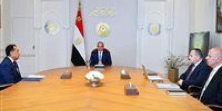 عاجل.. الرئيس السيسي يجتمع مع رئيس الوزراء ووزير التعليم العالي