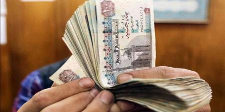 قروض الشباب.. أداة لدعم ريادة الأعمال وتحقيق الاستقلال المالي