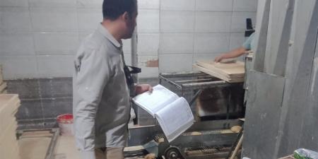 ضبط 17 شيكارة دقيق مدعم.. و115 محضرًا تموينيًا بالمنوفية
