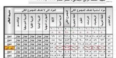 نتيجة الصف الرابع الابتدائي محافظة الجيزة 2026.. رابط الاستعلام بالخطوات