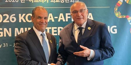 وزير الخارجية لـ نظيره الجزائري: التهدئة والحوار يشكلان الخيار الوحيد لتجنب الفوضى الإقليمية