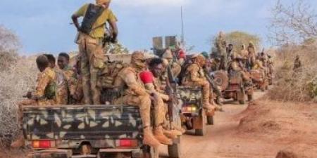 الجيش الصومالي ينفذ عملية عسكرية ضد مواقع إرهابية في شبيلي السفلى