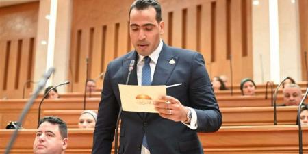 وكيل اتصالات النواب: العلمين الجديدة منصة ذكية لاستضافة الفعاليات الدولية وتعزيز الاقتصاد الرقمي