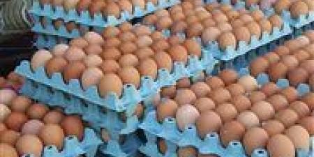 رئيس شعبة البيض: تجاوزنا الاكتفاء الذاتي بنسبة 40% ونبحث آليات التصدير