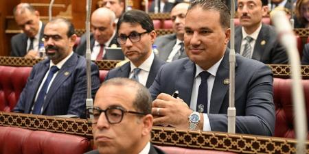 تامر عبد الحميد: الرقابة وقياس أثر الإنفاق وإعادة هيكلة الجهاز الحكومي ركائز الإدارة الرشيدة