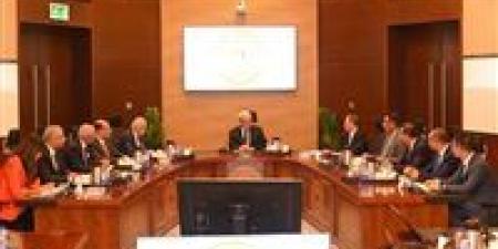 باستثمارات 550 مليون دولار.. نائب رئيس الوزراء يبحث مع أكبر شركة صينية للإطارات توسعاتها الجديدة بمصر