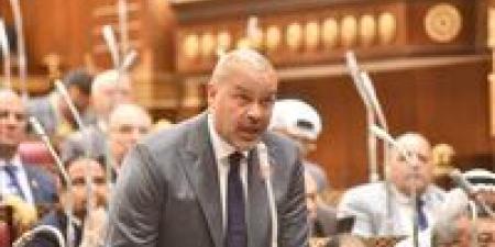 قدموا كتير لمصر.. النائب أحمد دياب يطالب بإنشاء صندوق لقدامي الرياضيين لدعمهم وتخفيف الأعباء عنهم