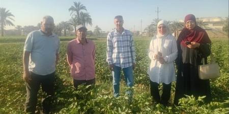 زراعة الفيوم تبدأ إطلاق طفيل التريكوجراما بسنورس لمكافحة الآفات الحيوية على 250 فدانًا