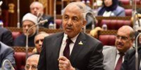أحمد العوضي: نجاح خطة التنمية مرهون بتمكين القطاع الخاص ورفع مساهمته إلى 59%