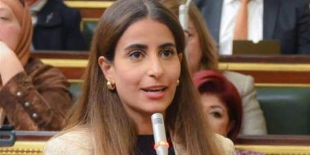 نائبة تطالب بحلول عملية ومتوازنة لمواجهة أزمة انتشار الكلاب الضالة في الشوارع
