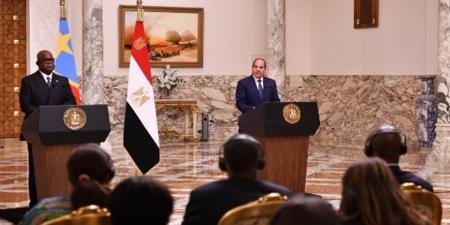 برلماني: لقاء الرئيس السيسي ورئيس الكونغو الديمقراطية يعزز الشراكة الاستراتيجية ويدعم استقرار إفريقيا
