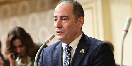 مجاهد نصار: التحركات المصرية تعكس التزامًا راسخًا بدعم القضية الفلسطينية وترسيخ الاستقرار الإقليمي