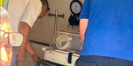 قرار من "الصحة" بشأن مركز الماسة الطبي في المرج بالقاهرة
