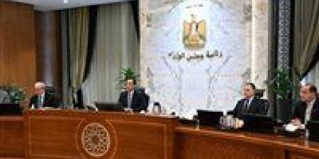 رئيس الوزراء: الحكومة تقترب من إطلاق مبادرة لتحفيز المصانع والمنازل على تركيب ألواح الطاقة الشمسية