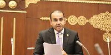 النائب محمد المنزلاوي: مصر تقود جهودًا متوازنة لترسيخ الاستقرار ودفع مسار السلام في المنطقة