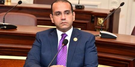 نائب: مصر تقود جهودًا متوازنة لترسيخ الاستقرار في المنطقة