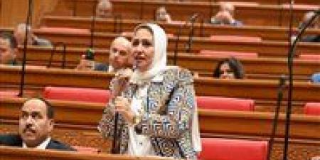 النائبة سحر صدقي: حياة كريمة تعيد رسم خريطة التنمية فى قنا