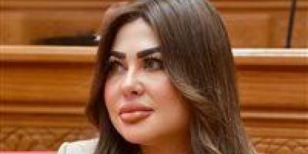 الثلاثاء.. طاقة النواب تناقش طلب إحاطة للنائبة ولاء الصبان بشأن إلغاء نظام الشرائح للعدادات الكودية