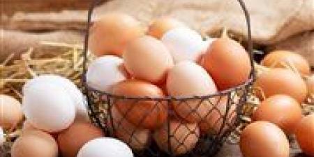 أمين شعبة البيض: الخسائر وصلت لـ 50%