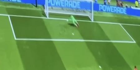 إمام عاشور يا مدرسة.. تامر حسني يحتفل بالهدف الأول لمنتخب مصر أمام بلجيكا
