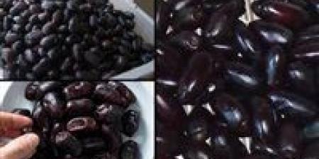 هل رأيت البلح الأسود في حلمك؟ إليك التفسير الكامل ومعانيه الخفية