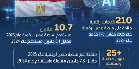 مصر تُحقق طفرة غير مسبوقة في الخدمات الحكومية الرقمية (إنفوجراف)