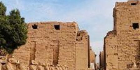 السياحة حول كافيتريا معابد الكرنك الجديدة: أُنشئت بديلاً للكافيتريا القديمة.. ونُفذت وفق المعايير الدولية