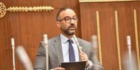 الحمامصي: نعتز بحاملي الماجستير والدكتوراه.. ولكن الشهادة ليست تذكرة عبور إلى الوظيفة الحكومية