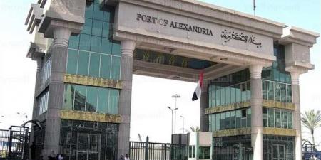 جمارك الإسكندرية تُحبط محاولة تصدير وهمى لبضائع سبق استيرادها بنظام السماح المؤقت