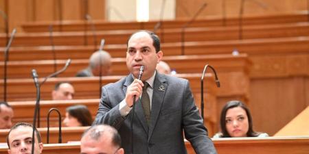 النائب عمرو درويش: الحساب الختامي الفيصل في تقييم تنفيذ الموازنة.. والتحدي الأبرز هو تحقيق مستهدفات النمو الاقتصادي على أرض الواقع