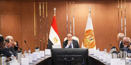 وزير العمل: صرف 76.4 مليون جنيه لـ12 ألفا و365 عاملا بـ5 منشآت