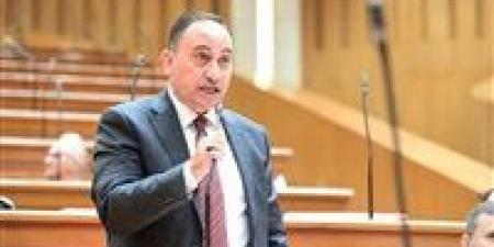النائب محمد زين الدين: نحتاج خطة زمنية محددة لاستكمال مشروعات الصرف الصحي بالمحافظات