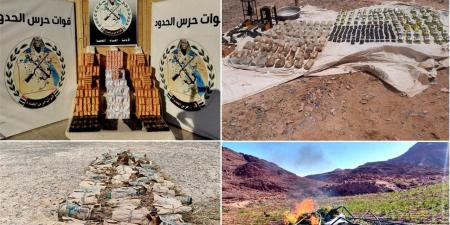 40 مليار جنيه قيمة المضبوطات.. قوات حرس الحدود تواصل جهودها المكثفة على الاتجاهات الاستراتيجية للدولة