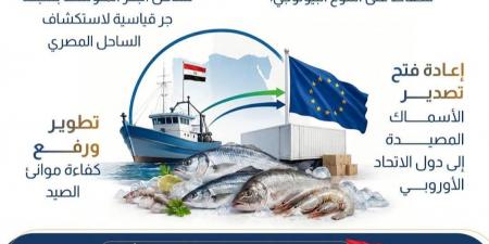 مصر ضمن دول الفئة الأولى لتصدير الأسماك للاتحاد الأوروبي (إنفوجراف)