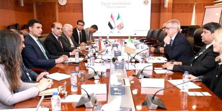 مبادرة حكومية تستهدف تركيب محطات طاقة شمسية على أسطح 7000 مصنع