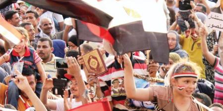 نائب: ثورة 30 يونيو من أهم المحطات الفارقة في تاريخ مصر الحديث