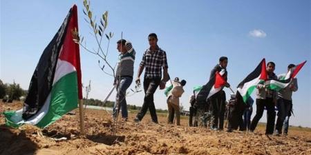 عمرو الورداني: مصر ترفض محاولات التهجير والتصفية وتدعم حقوق الشعب الفلسطيني