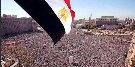 إسماعيل تركي: ثورة 30 يونيو أعادت الاستقرار للمنطقة وحمت مصر من الفوضى