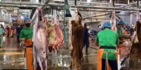 النفايات السعودية تطرح فرصة استثمارية لتشغيل مشروع معالجة نفايات المسالخ بالدمام