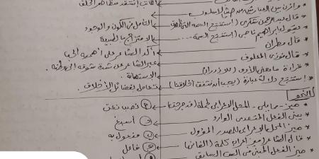 نموذج إجابة امتحان العربي 2026.. مراجعة شاملة لامتحان اللغة العربية