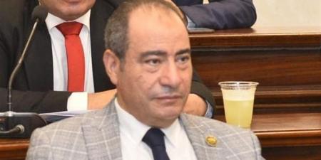 مجاهد نصار: كلمة الرئيس في ذكرى 30 يونيو تؤكد أن المواطن المصري هو بطل معركة استعادة الوطن