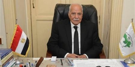 "العربي الناصري": 30 يونيو أنقذت الدولة الوطنية وأعادت تصحيح المسار لصالح الشعب المصرى
