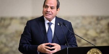 عقب توجيهات الرئيس السيسي.. خبيرة: برنامج جديد يعزز استقلال القرار الاقتصادي بمصر