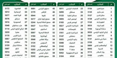 غدا.. فتح 86 مكتب بريد استثنائيًا لصرف معاشات «تكافل وكرامة» في البحيرة
