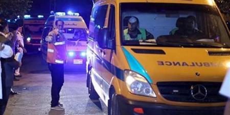 مقتل شخصين إثر مشاجرة مُسلَّحة بين عائلتين بجزيرة دندرة في قنا