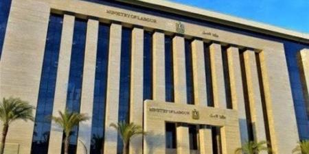 شراكات جديدة ودعم المشروعات.. حصاد وزارة العمل في أسبوع