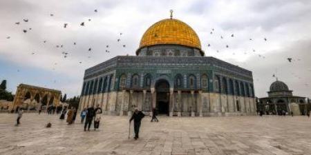 في ذكرى إحراق الأقصى.. تحذير من استمرار الاعتداءات على القدس والحرب في غزة والضفة