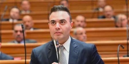 برلماني: سد «جوليوس نيريري» شهادة دولية بكفاءة الشركات المصرية ودورها في تنمية إفريقيا