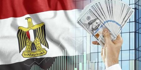 كيف نجحت السياسات النقدية والأمن الغذائي في حماية الاقتصاد المصري من الأزمات؟