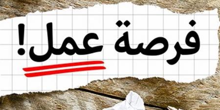 275 فرصة عمل في وزارة العدل.. تعرف على التخصصات المطلوبة في مسابقة مصلحة الخبراء 2026